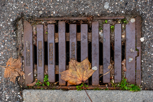 Laub verstopfter Abwasserschacht im Herbst