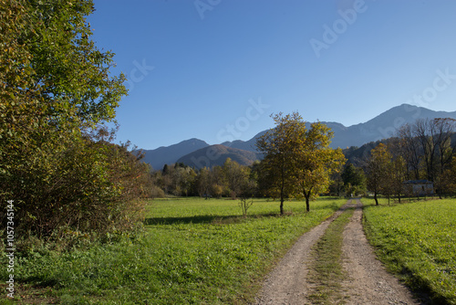 panoramica su un ambiente naturale ricco di alberi verdi, tra le montagne nel Friuli Venezia Giulia settentrionale, di giorno, con colori brillanti, illuminato dal sole, sotto un cielo sereno