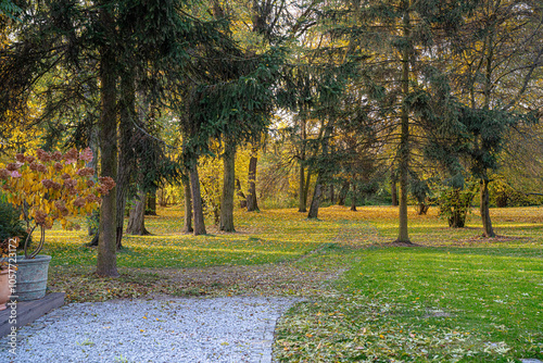 oranżeria, ogród zimowy, szklarnia, jesień, liście