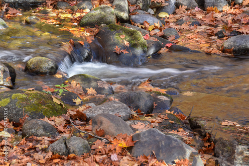 autumn by the cascading water of willard brook