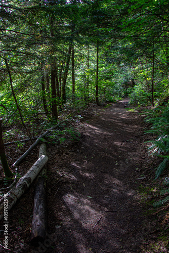 caminho ou trilha em parque nas montanhas do Canadá