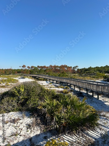 Topsail Hill Preserve State Park autumn dunes 