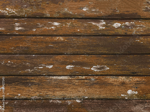 The old floorboards had mold and moss.