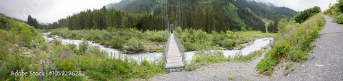 hanging bridge over torrential Landquart river, wild lupins at the riverside, hanging bridge Monbiel, prattigau Switzerland landscape