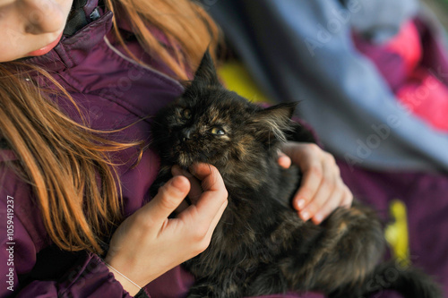 Girl, child caresses little brown fluffy stray kitten sitting on her hands. Animal photo.