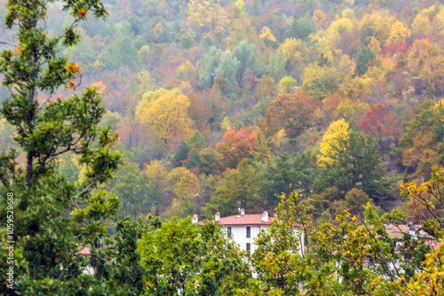 Villetta Barrea nel parco nazionale d'Abruzzo lazio e Molise. un paese in mezzo ai boschi con il foliage