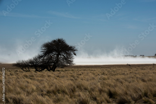 Strong wind blowing in a salt flat in La Pampa province, Patagonia, Argentina.