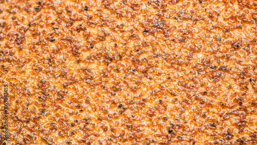 Macro close up of orange sandpaper grit showing abrasive texture.