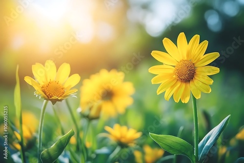 A serene scene of vibrant yellow flowers basking in sunlight, symbolizing nature's beauty.