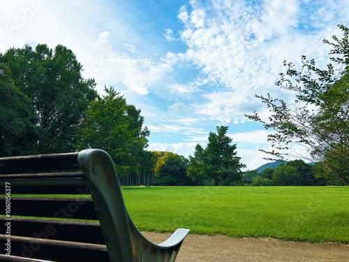 公園のベンチと木々と青空