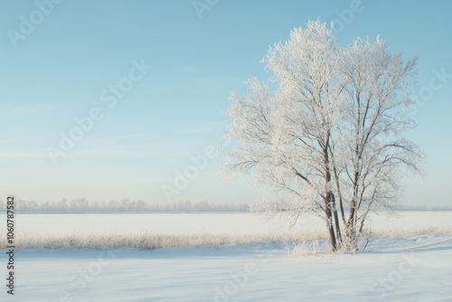 Lone tree standing in a snowy landscape, branches dusted with snow, contrasting against a gray sky.