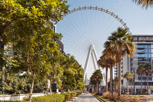 Dubai. One of the most largest ferrris wheel in the world - Ain Dubai in United Arab Emirates. 