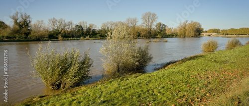 Haut niveau du fleuve Loire, débordant sur les berges et inondant les arbres, format bannière