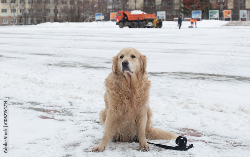 The first snow in the city.Winter has come to the city.