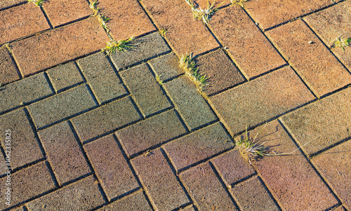 Brick Cris Cross Pattern with Grass Growing in the Cracks.