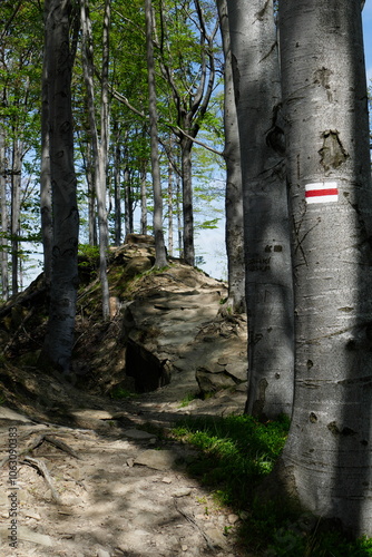 górski szlak, turystyka górska