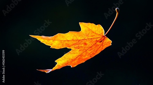 A single yellow leaf floating in the air on a black background