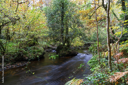 Une atmosphère de calme règne dans la forêt d’Huelgoat, où la rivière d'Argent s'écoule lentement entre les roches, entourée de teintes automnales apaisantes. 