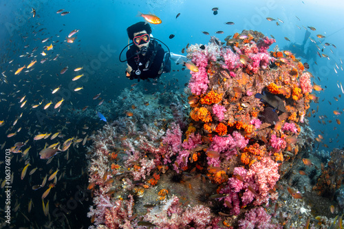 Male Scuba diver diving through colorful soft coral reef and school of fish at King Cruiser wreck ship, a famous dive site near Phuket, Thailand. Stunning underwater landscape of Andaman sea