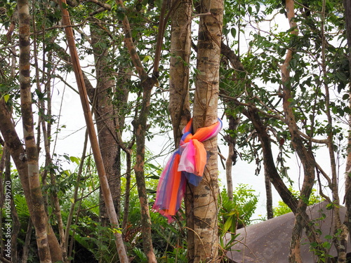 Tie 4 colored cloth to a tree In forest. Beliefs in Thailand believe that large trees live by gods. Therefore they brought colorful thin cloths to worship and ask for blessings or protect tree 