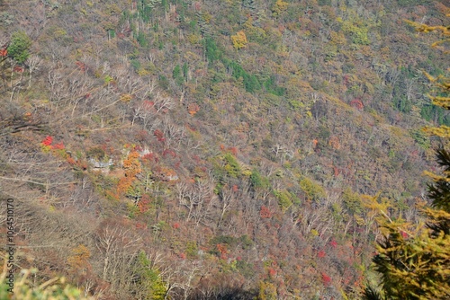 赤城山の山腹の紅葉