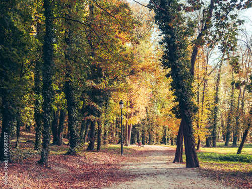 autumn path in the park. trees in autumn colors. lantern and banch in city park alley. fallen autumn leaves. fall beauty in nature. wallpaper