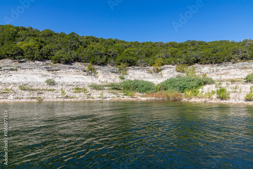 Forest and rocks around Colorado river