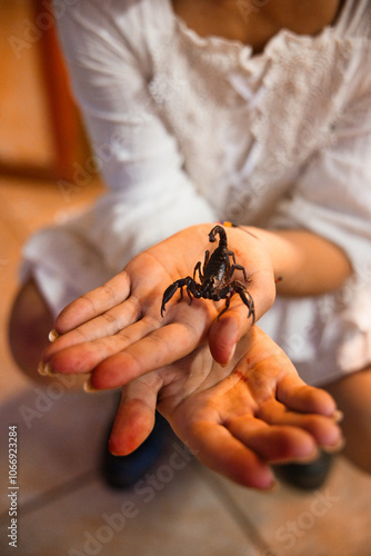 Scorpion dans les mains d'une femme en gros plan