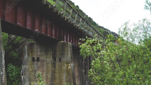 Images of a bridge overgrown from under industrial construction trees