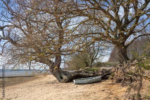 Nacton Foreshore, Suffolk, England, United Kingdom