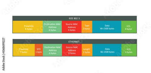 Two standard types of ethernet frame, vector