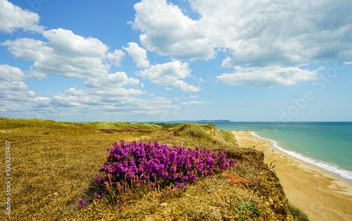 Coastline Hengisbury Head Bournemouth, Dorset