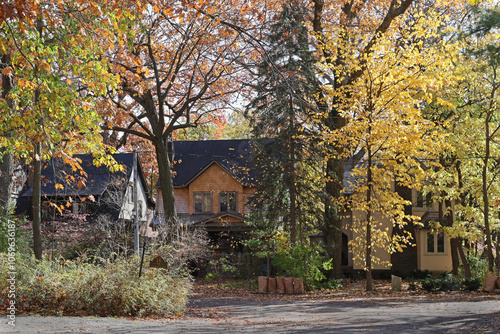 residential street with trees in brilliant fall colors