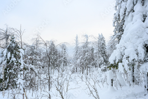 Stone city in the woods moss-grown nature in the winter. Usva, Ural.