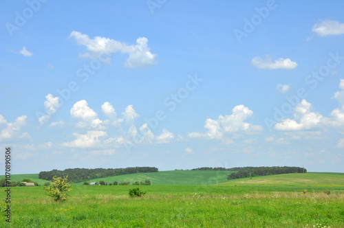 Green field under the cloudy sky 