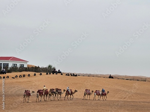 tour o caravana de camellos en Dubai