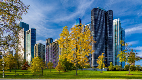 Gęsi na tle panoramy Chicago