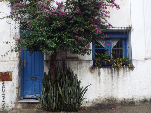 Argentina e Uruguai, Buenos Aires, Tigre, Montevideu, Colonia del Sacramento e Punta del Este. Cidade antiga, cidade de pedra, carro antigo, paisagens, casas, prédios.