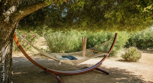 Relaxing summer afternoon in hammock trees