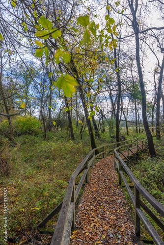 Gemenc, unique forest between Szekszard and Baja, Dunaj-Drava National Park, Hungary