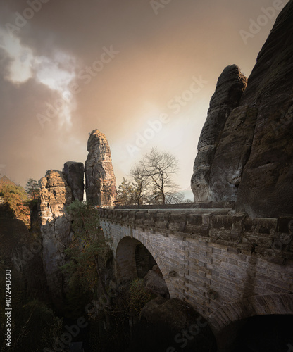 saxon switzerland national park, germany, foliage