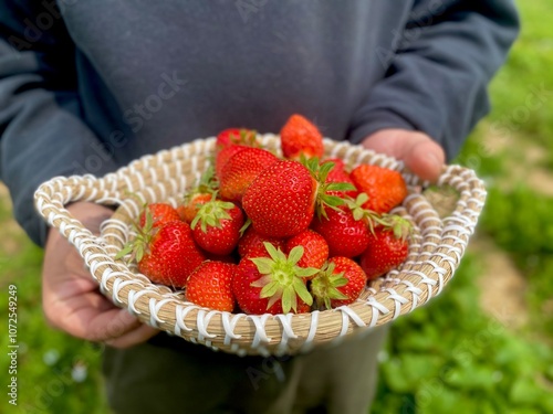 Man in black sweater holding wicker basket of strawberries