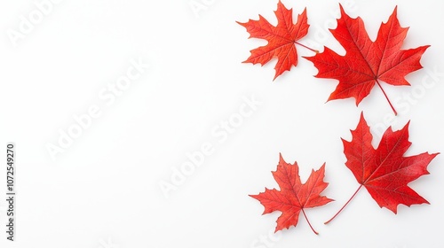 Greetings on the first day of Canada Day. Top view of red, white and blue maple leaves on white background.