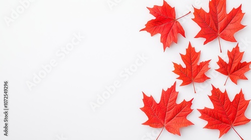 On the 1st of July we celebrate Canada Day. In this flat lay, we see red, white stars, maple leaves, and an empty space for text.