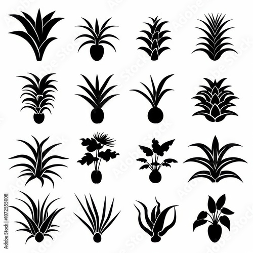 Bromeliad (Bromeliaceae genera) Pot Plant Icon Set, Bromeliaceae genera Plant Flat Design