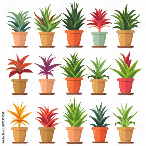 Bromeliad (Bromeliaceae genera) Pot Plant Icon Set, Bromeliaceae genera Plant Flat Design