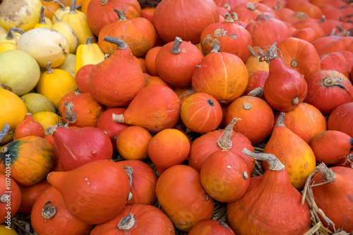 Marktstand mit Kürbissen