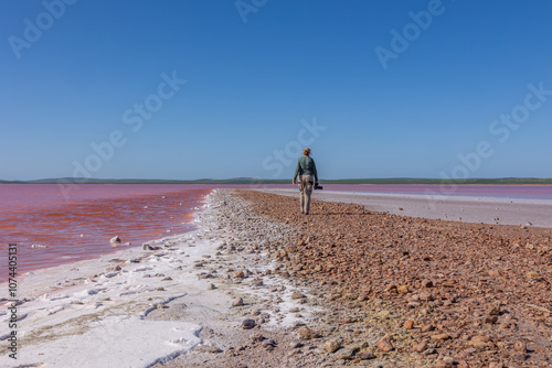 A woman photographer walks along a spit in a pink lake which is pink because of salt tolerant algae and the salt forms a crust on the shore on Lake Bumbunga at Lochiel in South Australia.