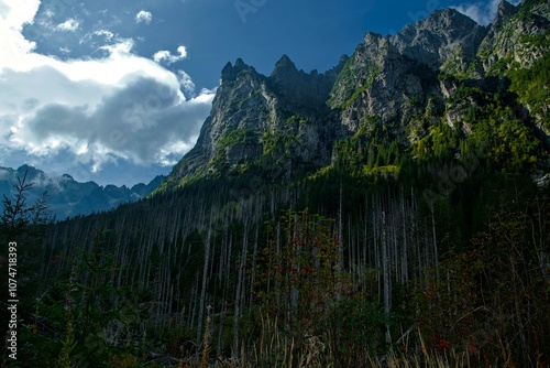 The Młynarz Massive, view from Bielovodska Dolina. Masyw Młynarza, widok z Doliny Białej Wody