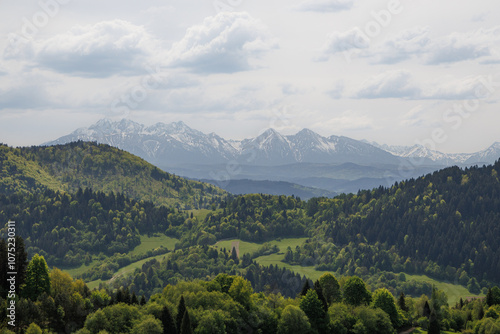 Widok na Tatry z Palenicy, Szczawnica, Polska.